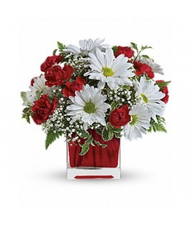 Red And White Delight by Teleflora